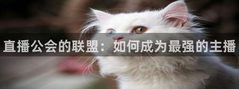 310看球吧直播nba：直播公会的联盟：如何成为最强的主播