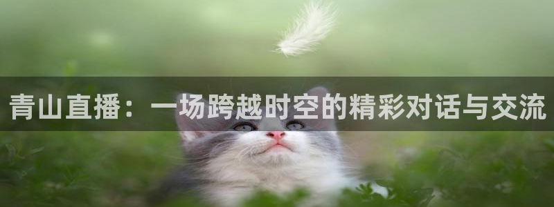 看球吧在线观看：青山直播：一场跨越时空的精彩对话与交流