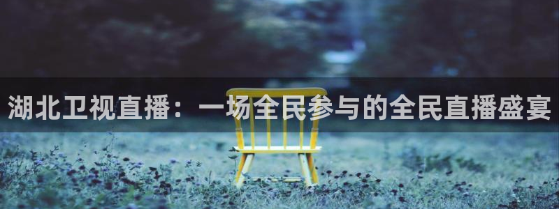 看球吧雨燕直播：湖北卫视直播：一场全民参与的全民直播盛宴