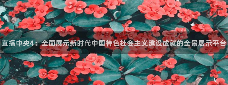 看球吧直播在线观看：直播中央4：全面展示新时代中国特色社会主义建设成就的全景展示平台