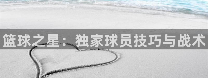 看球吧直播网：篮球之星：独家球员技巧与战术