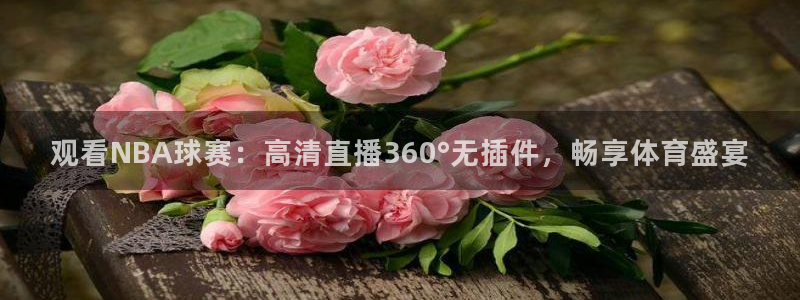 310看球吧直播nba：观看NBA球赛：高清直播360°无插件，畅享体育盛宴